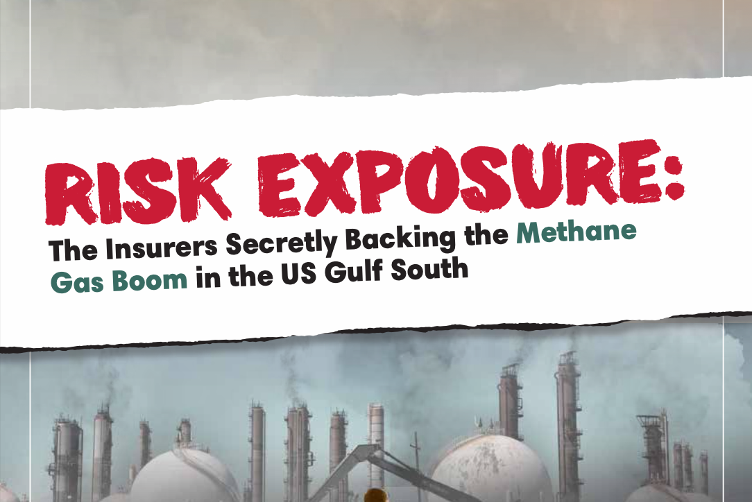 Risk Exposure: The Insurers Secretly Backing The Methane Gas Boom in the US Gulf South