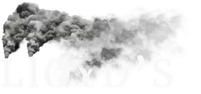 Lloyd's Insure Our Future